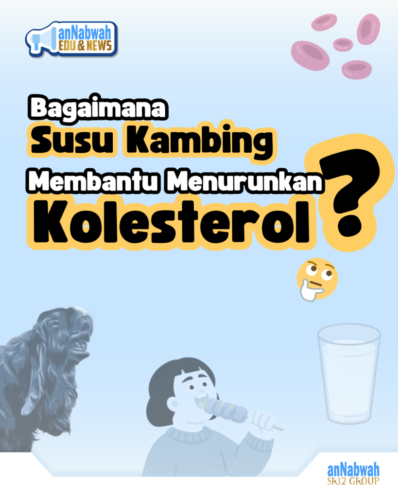 21 materi 1